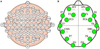 Neural Correlates of Phrase Rhythm: An EEG Study of Bipartite vs. Rondo Sonata Form